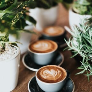 Ridgeline Light Roast